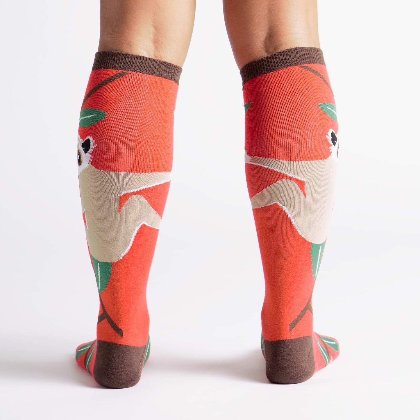 Knee High Funky - Slow Loris