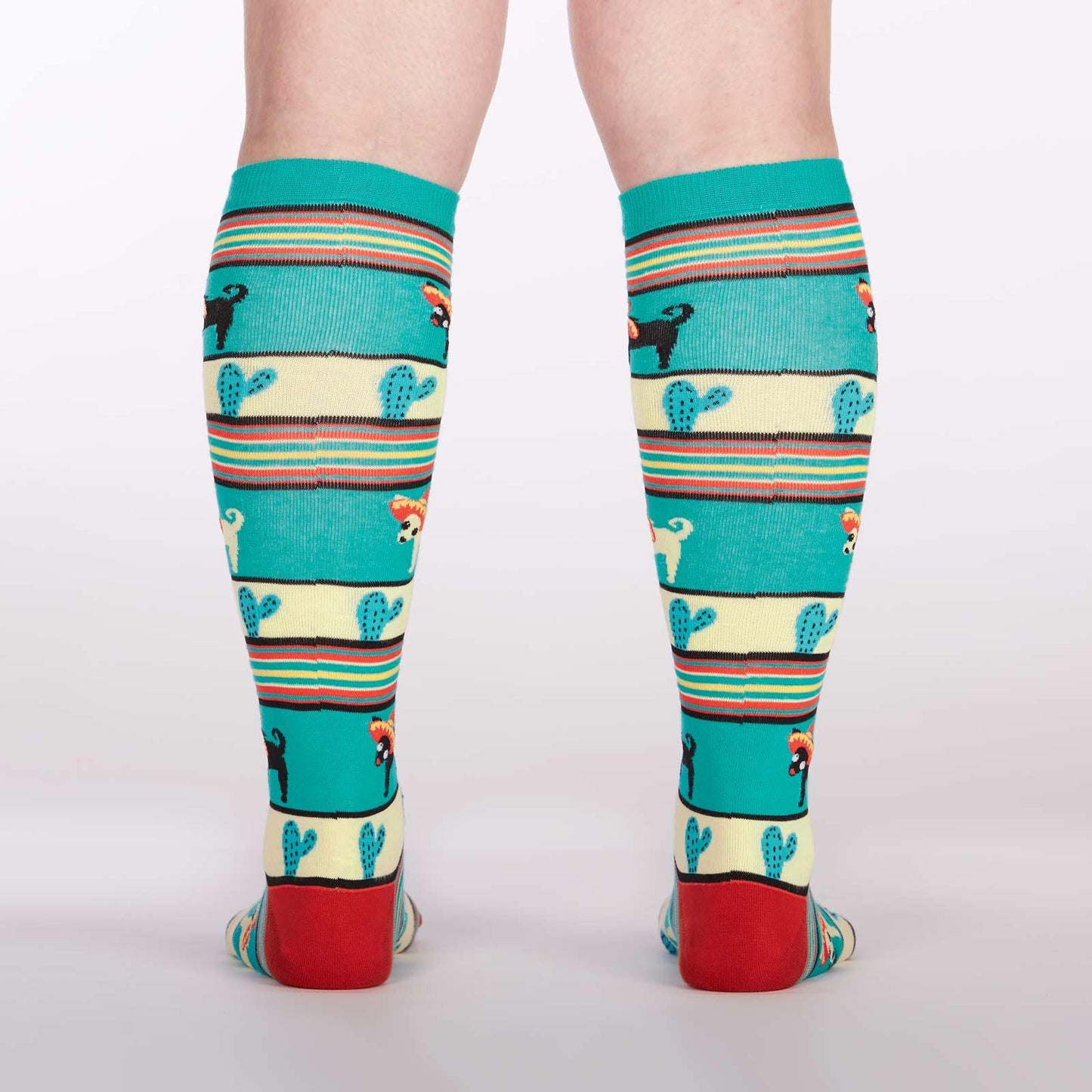 Knee High Funky - Yo Quiero Sombrero