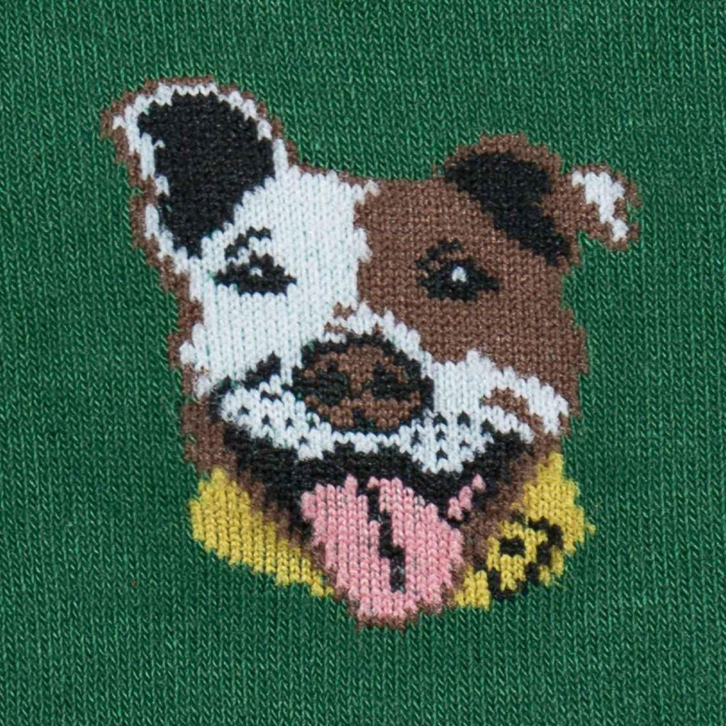 Herresokker med pitbull-motiv
