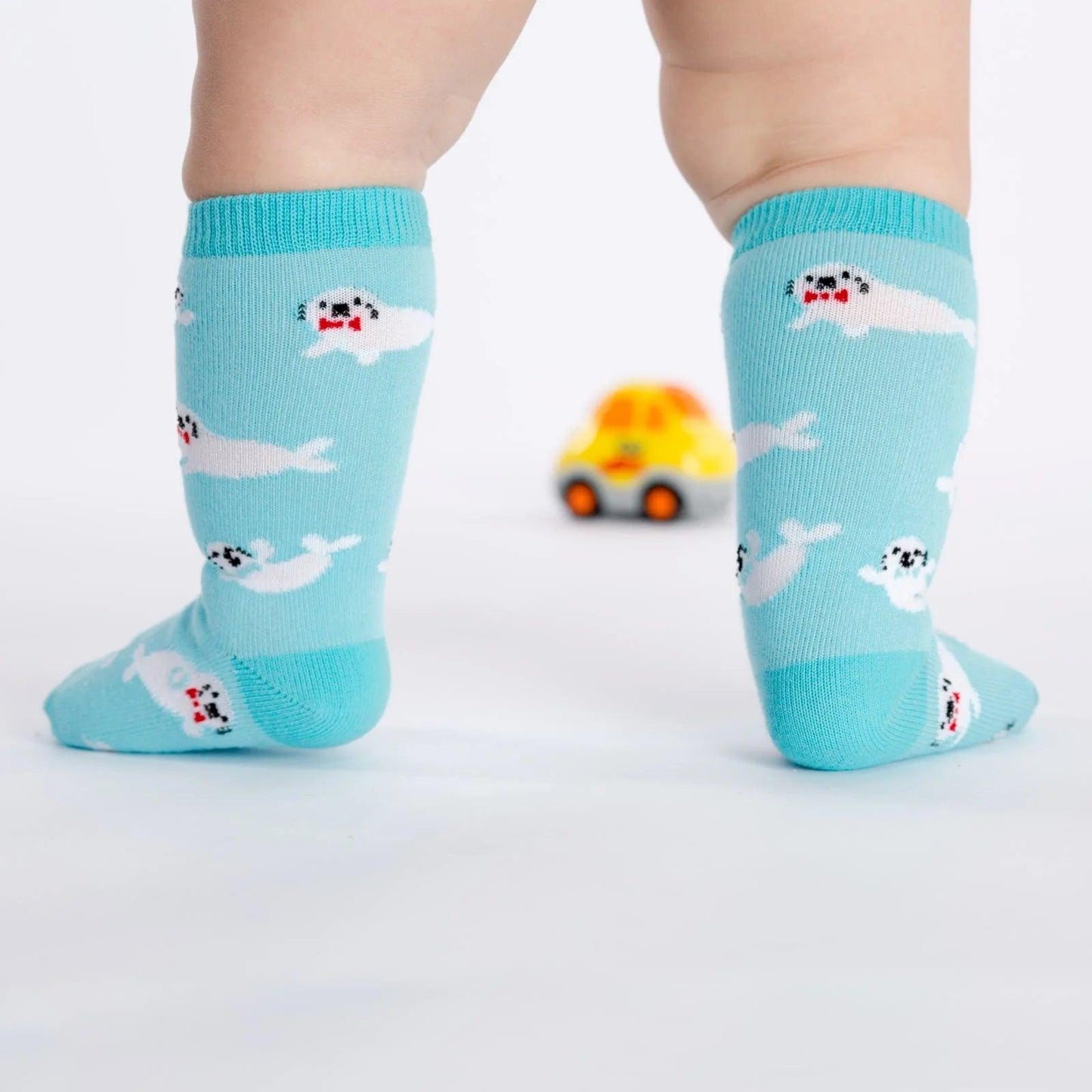 Toddler Knee - Baby Seals
