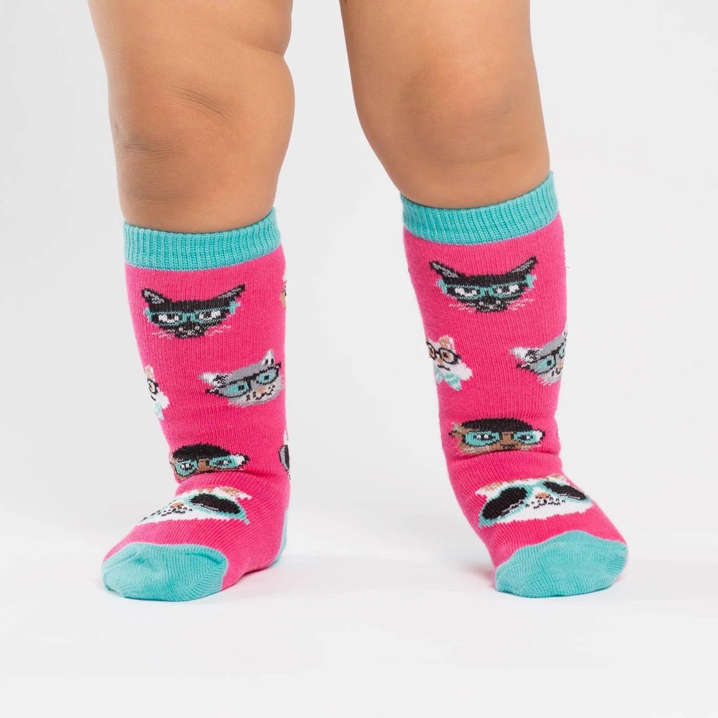 Toddler Knee - Smarty Cats